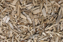 biomass boilers Woodgate